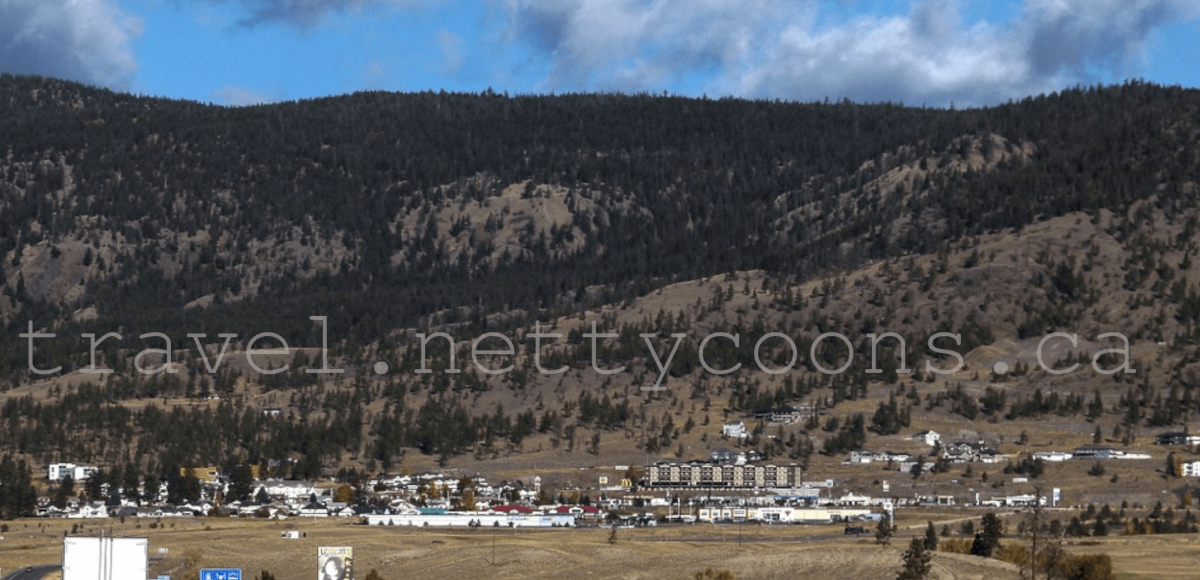 Amazing Facts About Merritt