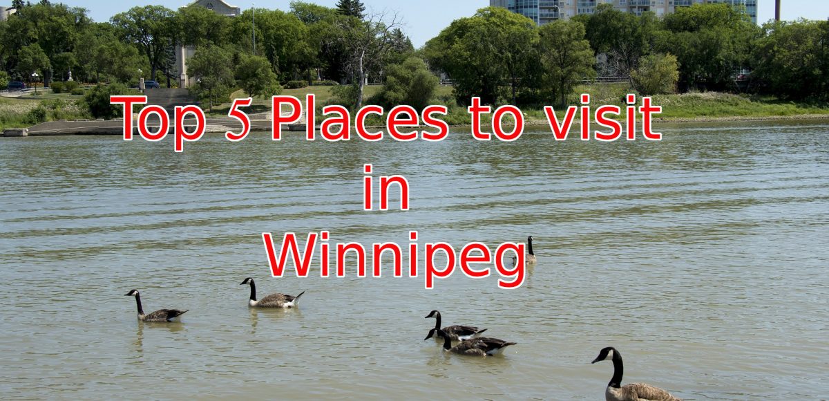 Top 5 Places to visit in Winnipeg