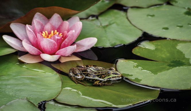 Visit Laura Howe Marsh Area