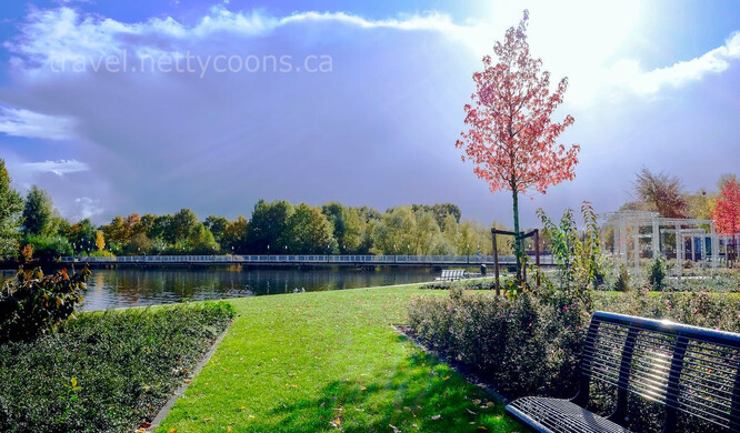 Pigeon Lake Provincial Park