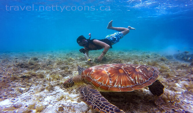 Diving and Snorkeling