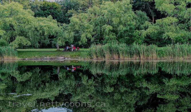  Irishtown Nature Park