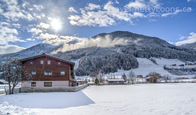  Mount Washington Alpine Resort